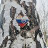 БС009-01 Набор для вышивания броши "Я люблю Россию", 5х5 см