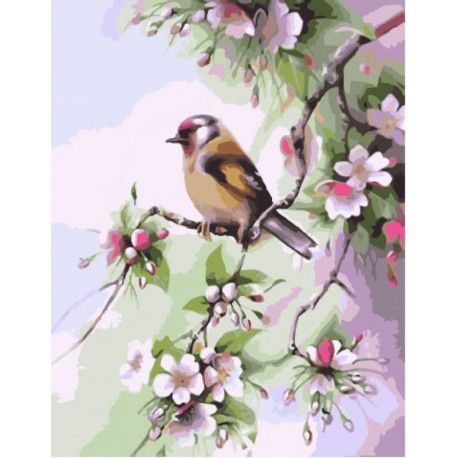 GX32144 Картина по номерам Paintboy "Весенняя пташка"