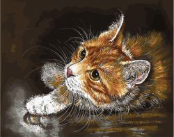 GX 32095 Картина по номерам Paintboy "Внимательный рыжий кот"