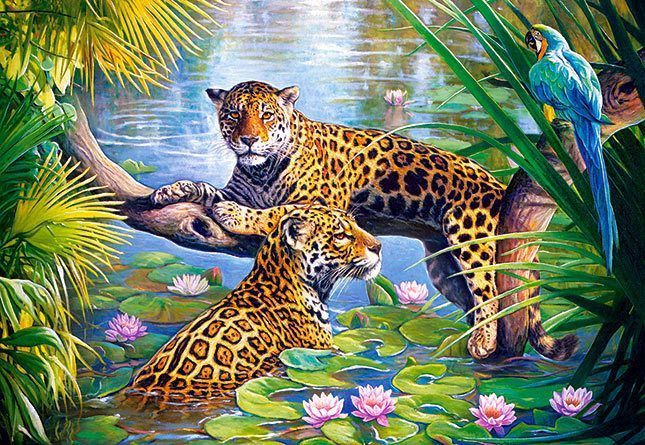 Картина по номерам Paintboy "Отдых на ветке" GX3050